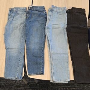 Everlane Jeans Lot 29 Regular
